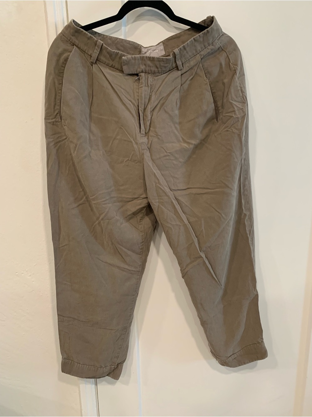 Everlane Casual Pleated Pants Khaki